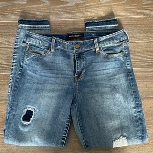 Liverpool Jeans Company Blue Ankle Skinny Jeans size 10